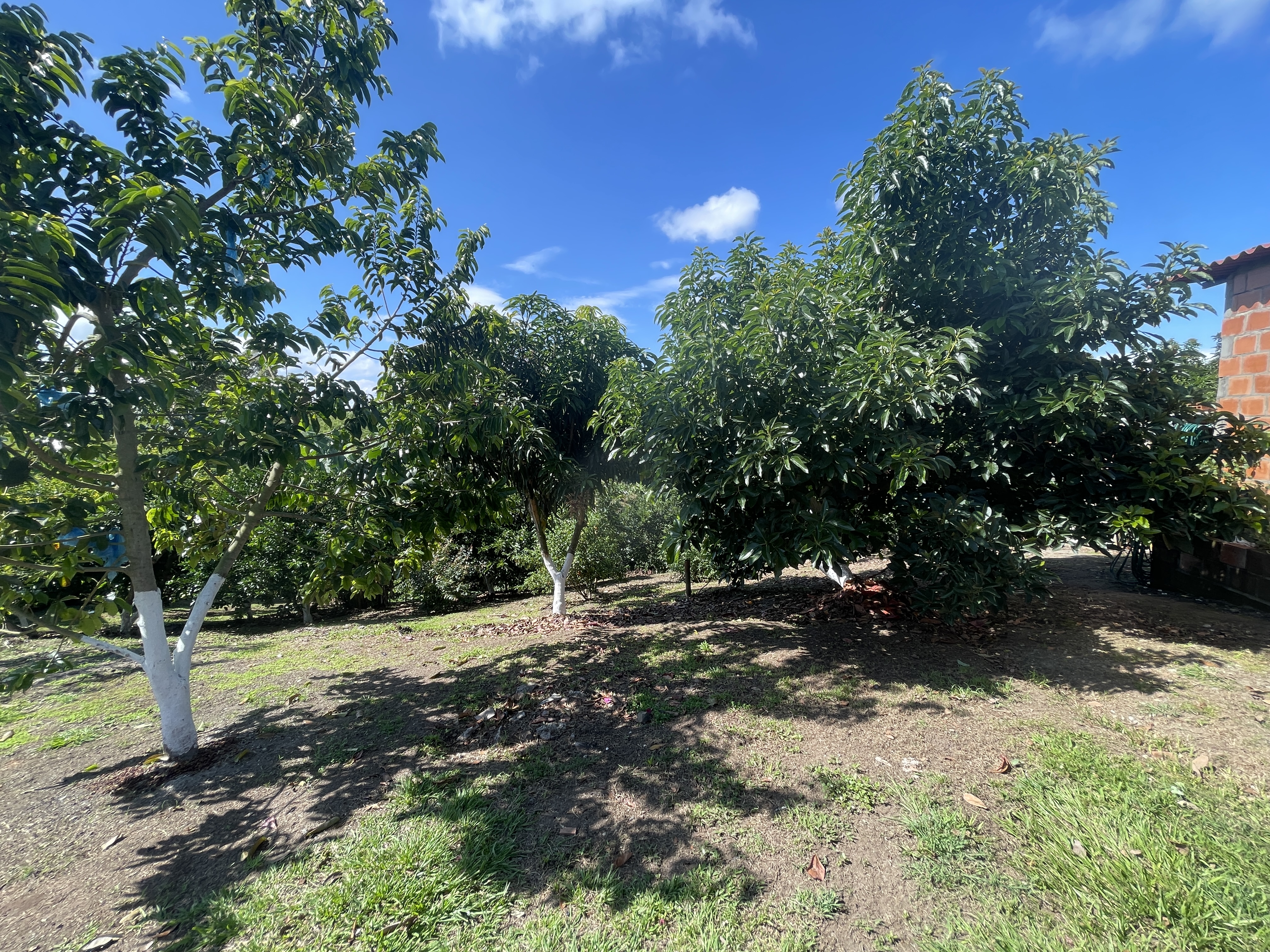 Foto de Casa campestre en Venta en Zona rural, Alcala - 11 - 279064533
