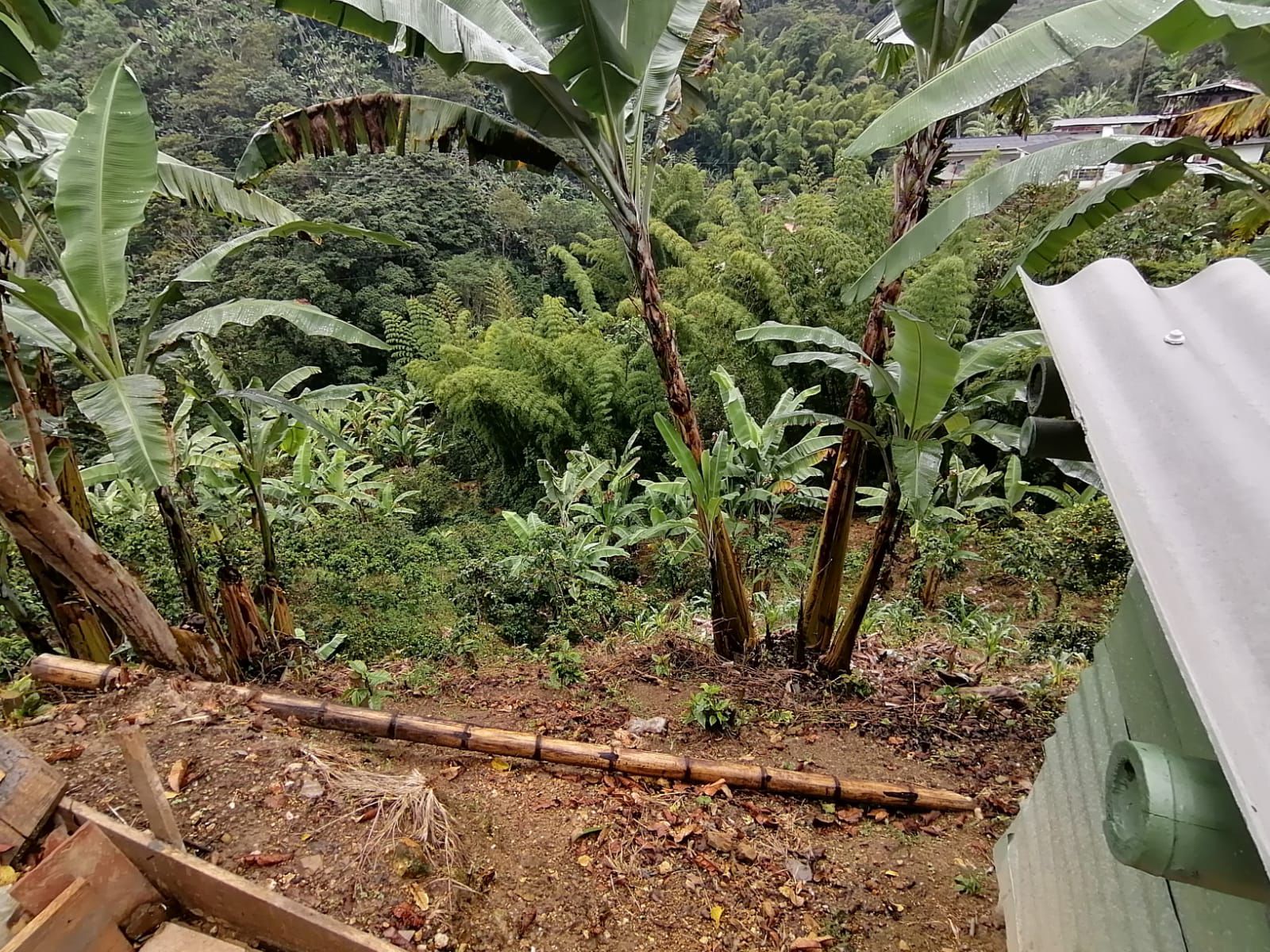 Foto de Finca en Venta en Maracas, Neira - 3 - 279063622