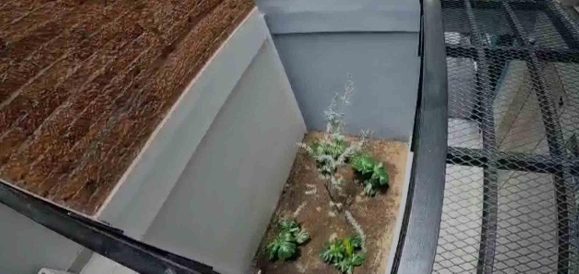 Foto de Casa en Venta en San jorge, Manizales - 7 - 279058306