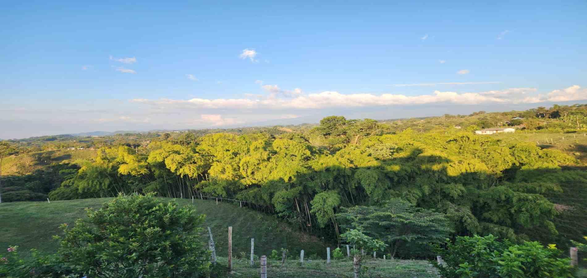 Foto de Finca en Venta en Filandia, Filandia - 14 - 279066535