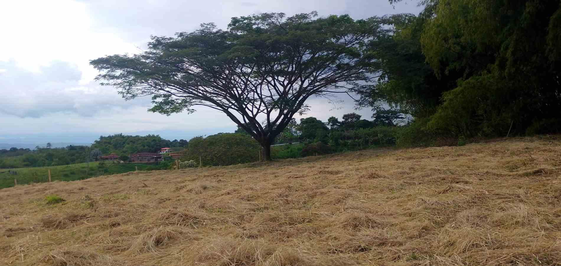 Foto de Lote / terreno en Venta en Armenia, Armenia  - 1 - 279067125