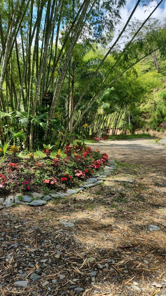 Foto de Finca en Venta en El guineo, Neira - 8 - 279053579