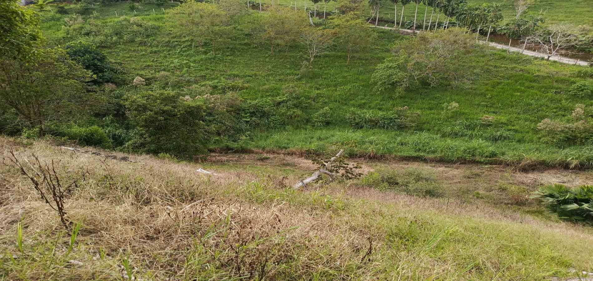Foto de Lote / terreno en Venta en Via alcala, Pereira - 7 - 279061897