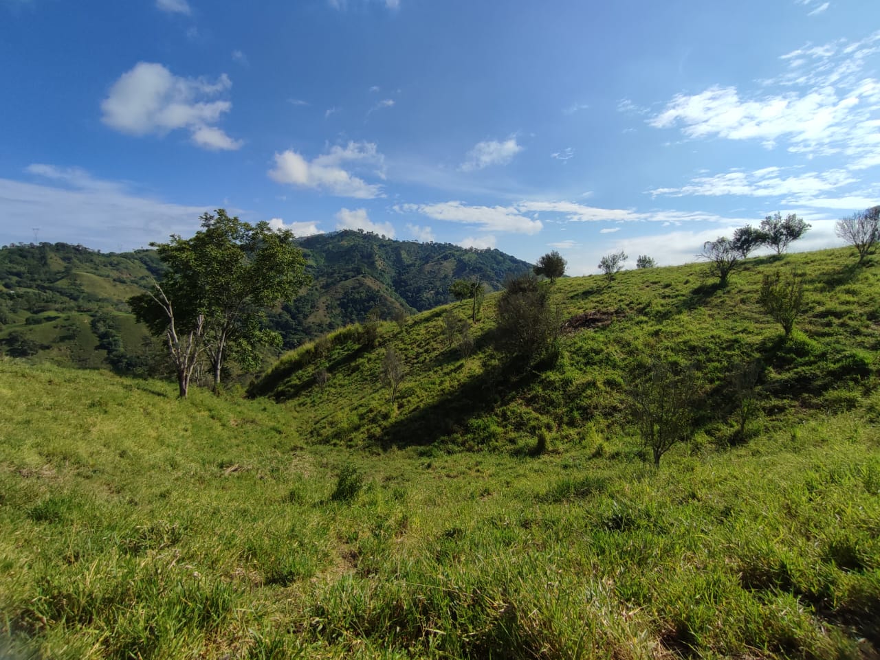 Foto de Lote / terreno en Venta en Cerritos, Pereira - 19 - 279064552