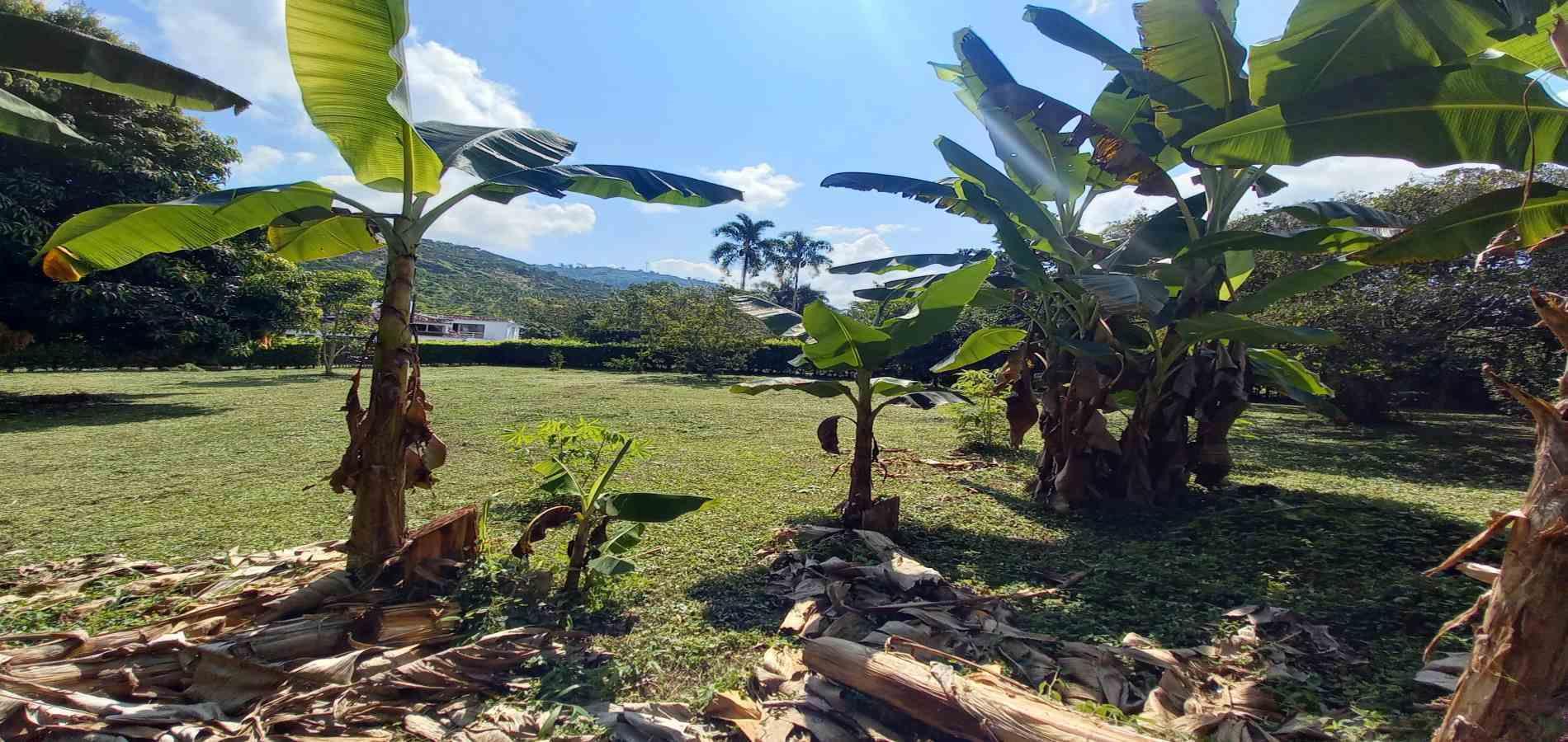 Foto de Lote / terreno en Venta en Vereda santagueda, Palestina - 8 - 279060420
