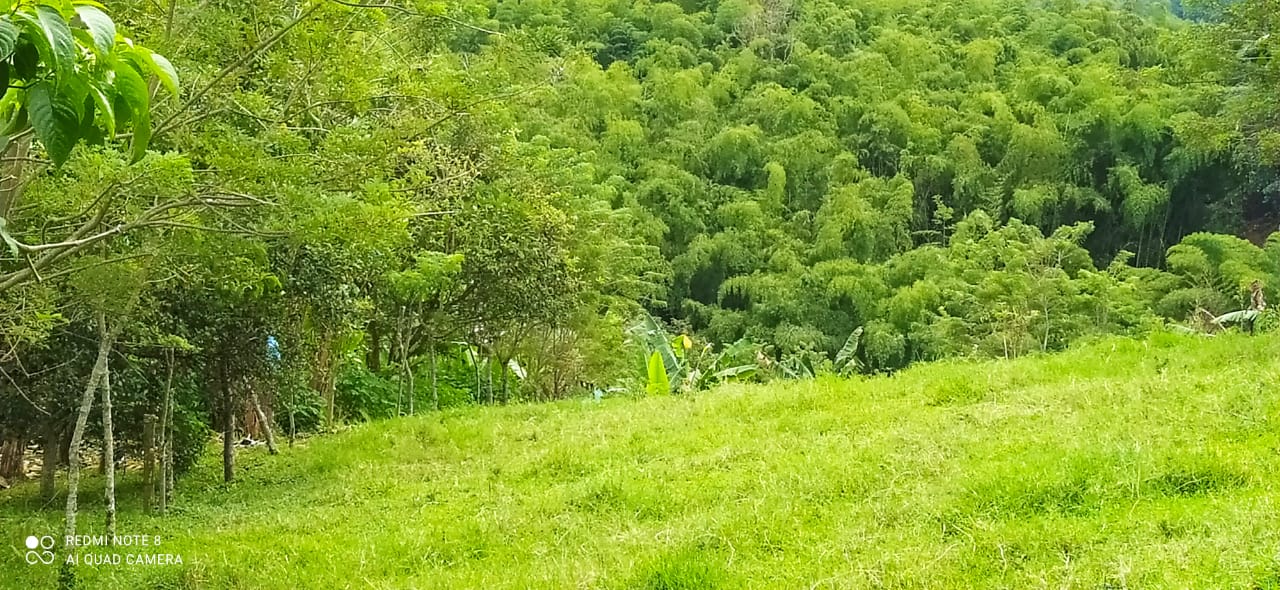 Foto de Lote / terreno para Venta en Altagracia, Pereira - 279057421
