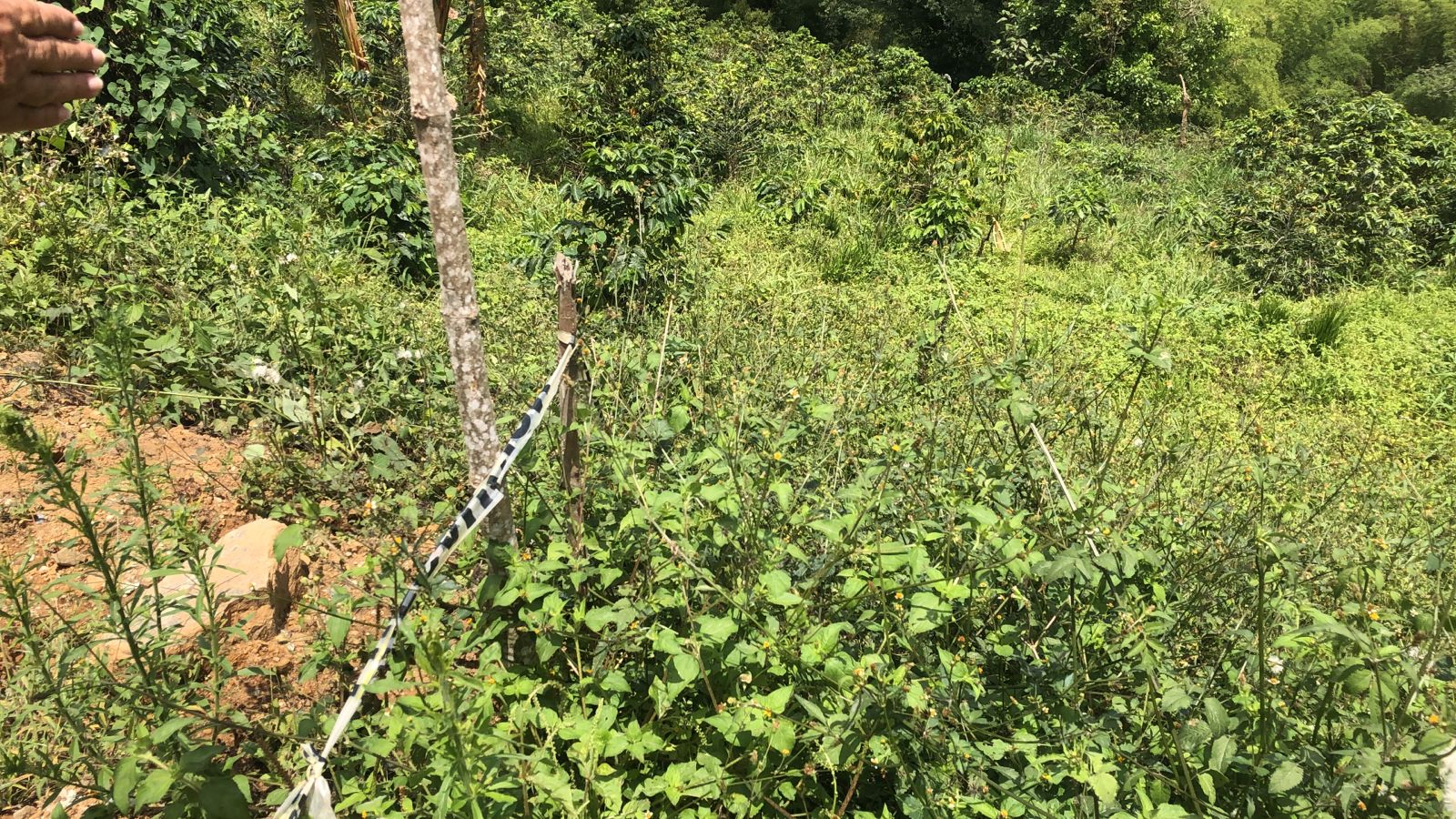 Foto de Lote / terreno en Venta en Dosquebradas, Dosquebradas - 21 - 279053269