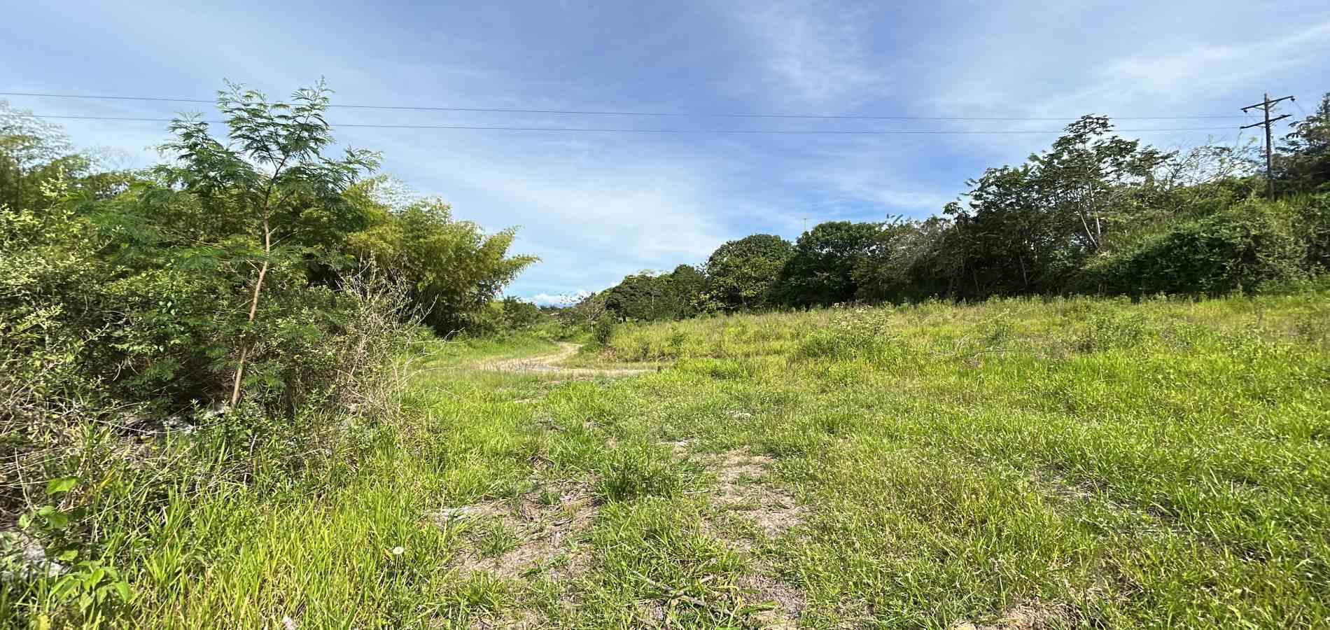 Foto de Lote / terreno en Venta en Cerritos, Pereira - 7 - 279068089