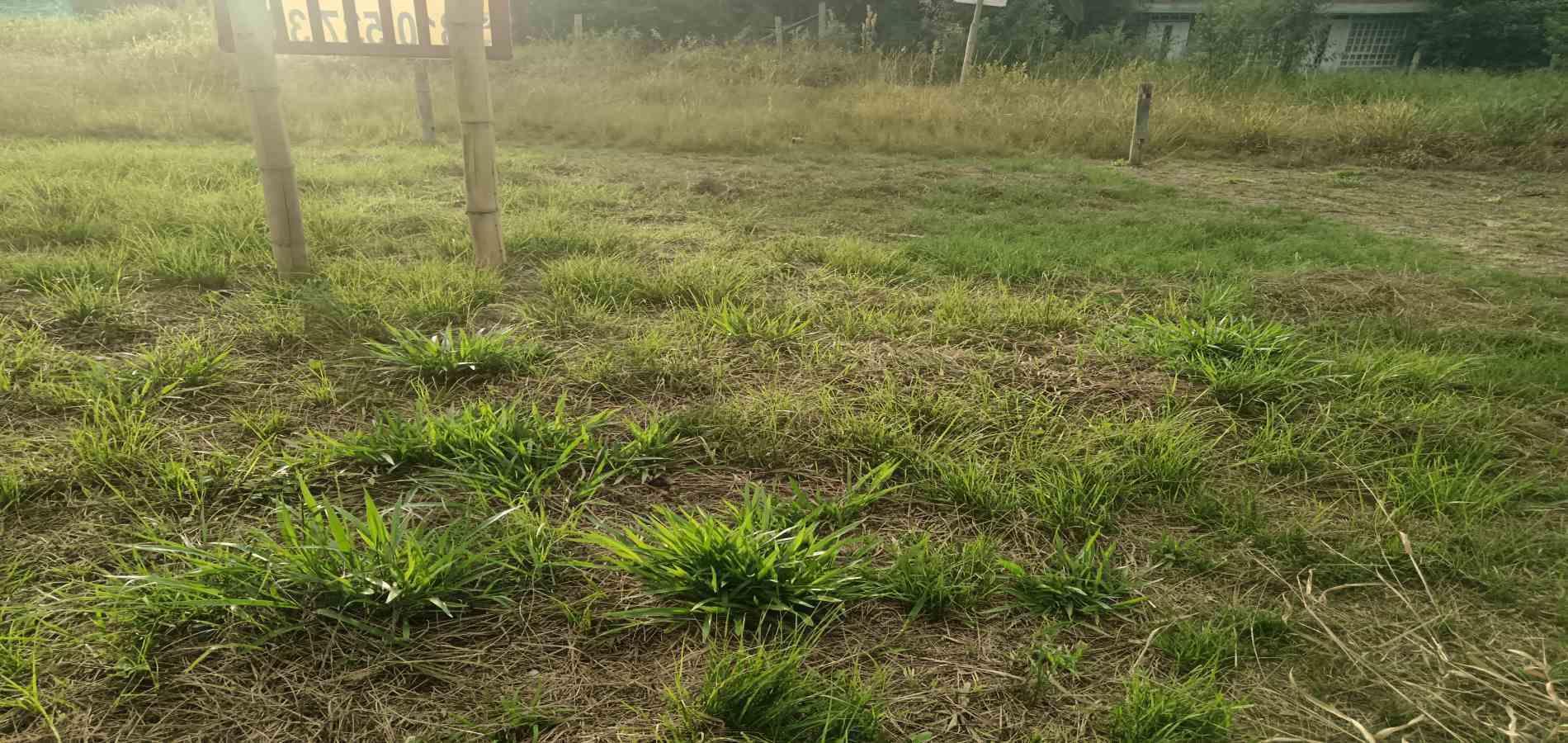 Foto de Lote / terreno en Venta en UrbanizaciÓn santana, Armenia  - 11 - 279059323