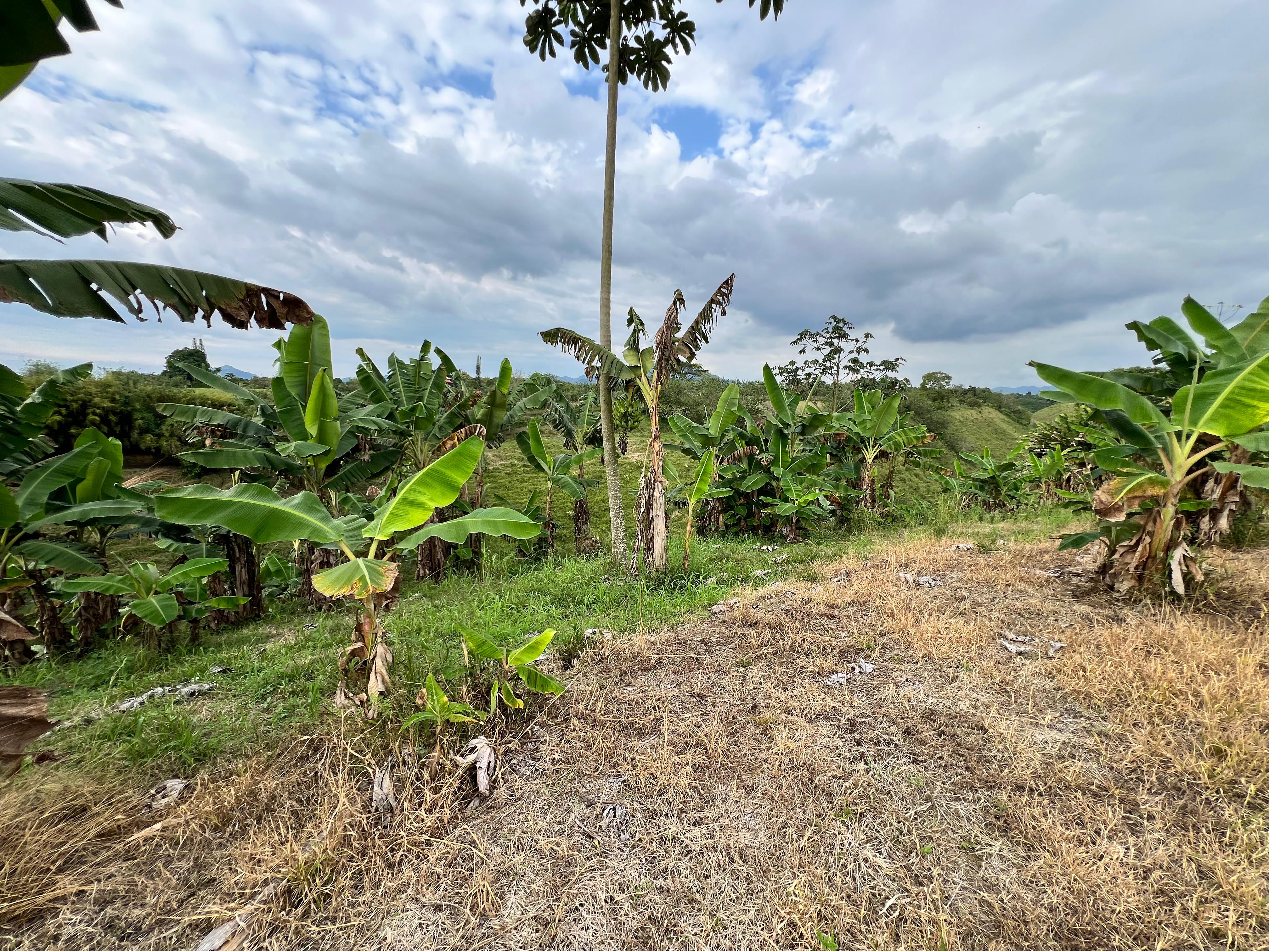 Foto de Lote / terreno en Venta en Filandia, Filandia - 4 - 279066855