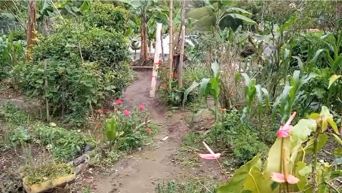 Foto de Lote / terreno para Venta en Vereda yarumal, Pereira - 279065326