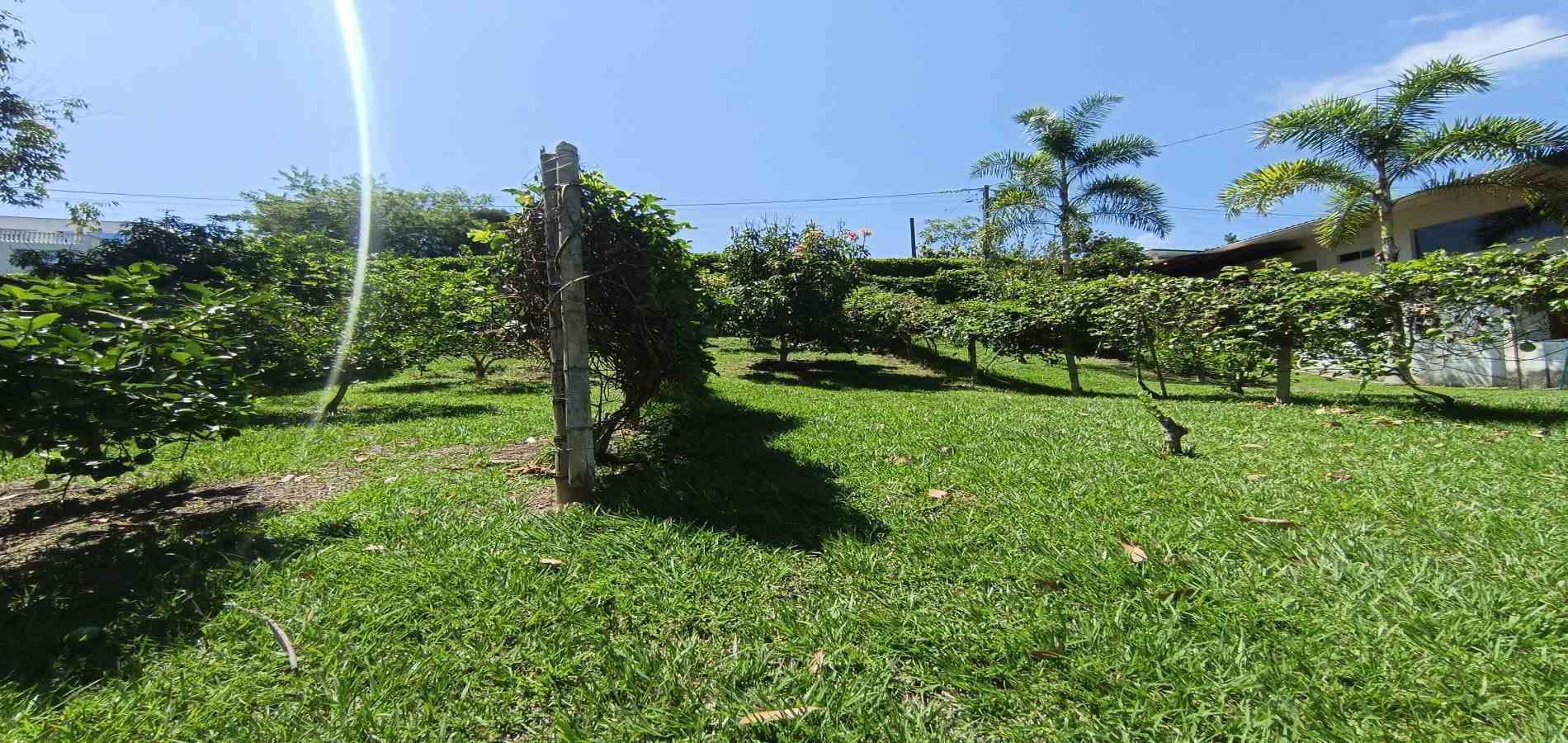 Foto de Lote / terreno en Venta en Vereda palermo, Neira - 23 - 279068279
