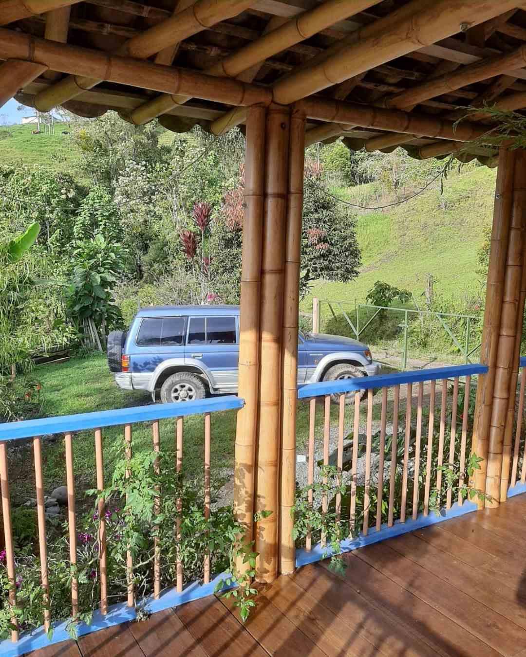 Foto de Finca en Venta en Alto castillo, Villamaria - 7 - 279061533