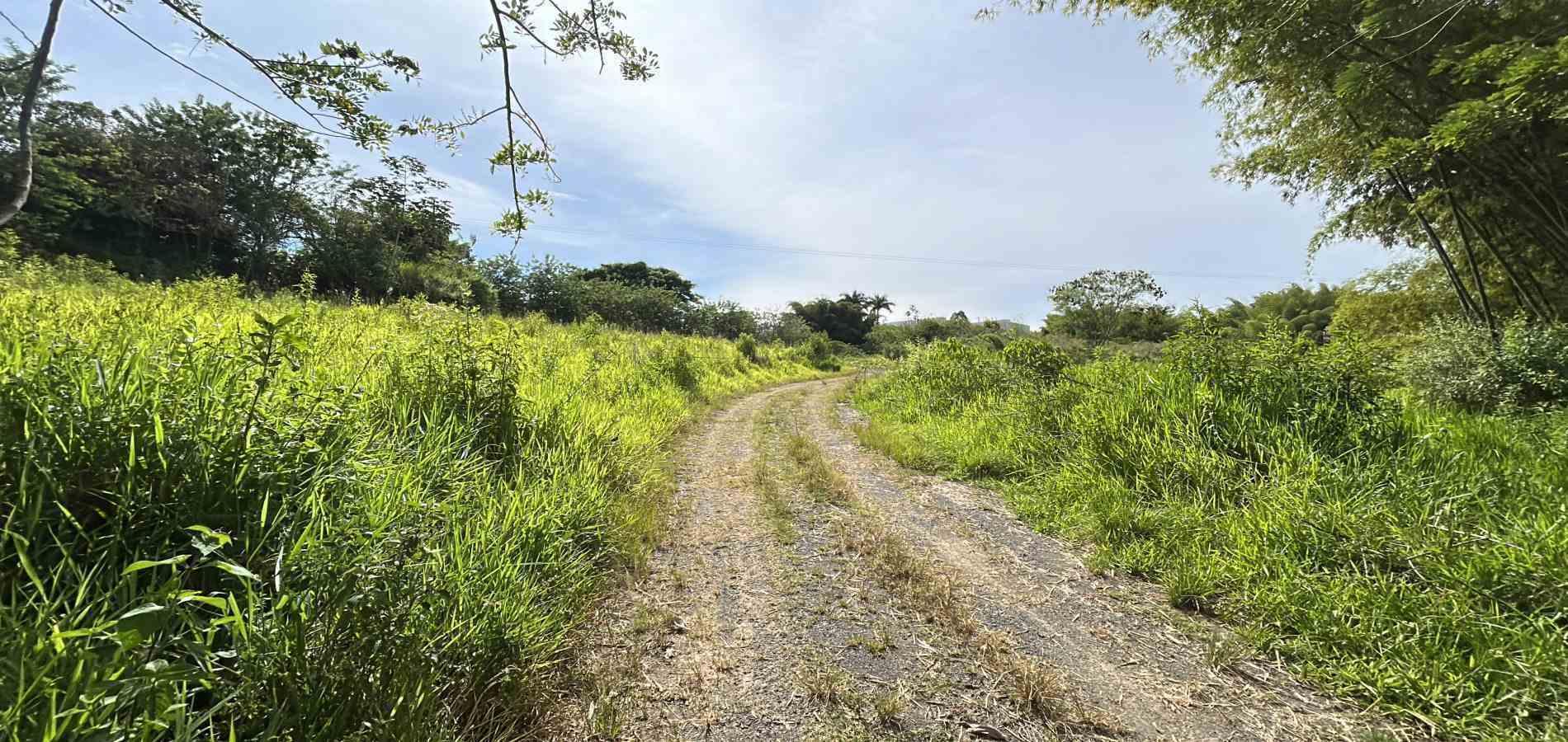 Foto de Lote / terreno en Venta en Cerritos, Pereira - 11 - 279068089