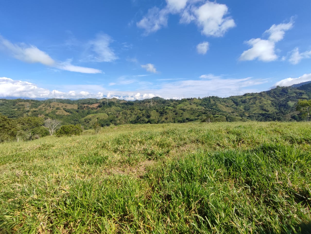 Foto de Lote / terreno en Venta en Cerritos, Pereira - 21 - 279064552