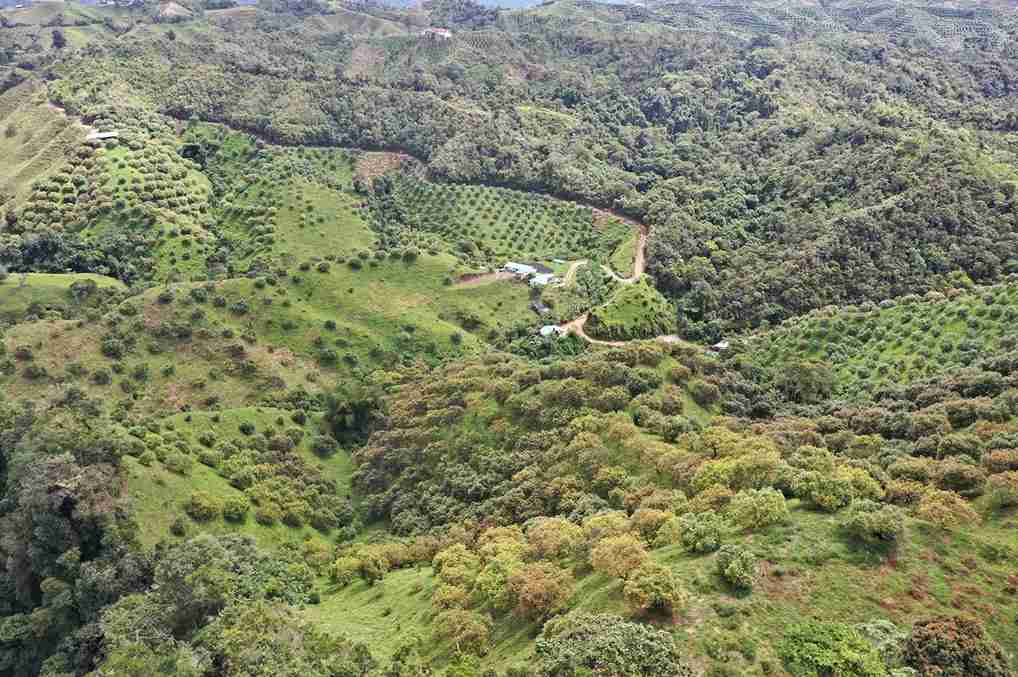 Foto de Finca en Venta en Vereda aguadita, Fresno - 6 - 279054270