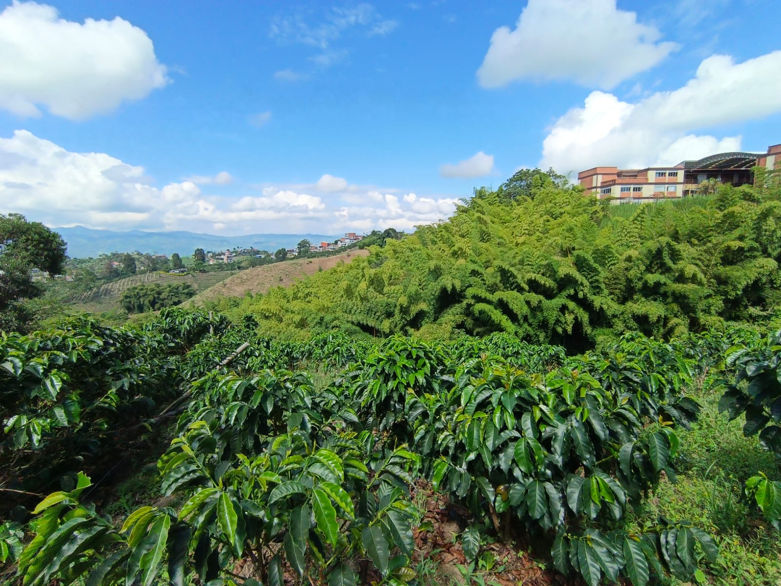 Foto de Lote / terreno en Venta en Las pavas, Manizales - 8 - 279067665