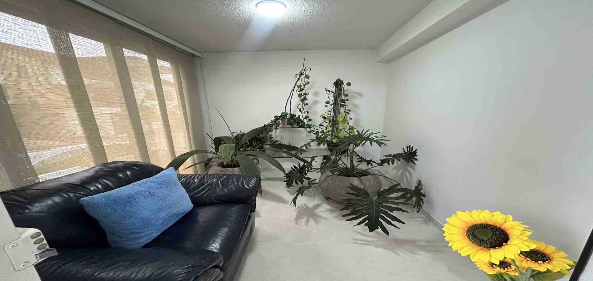 Foto de Casa en Venta en Av sur, Pereira - 7 - 279068276