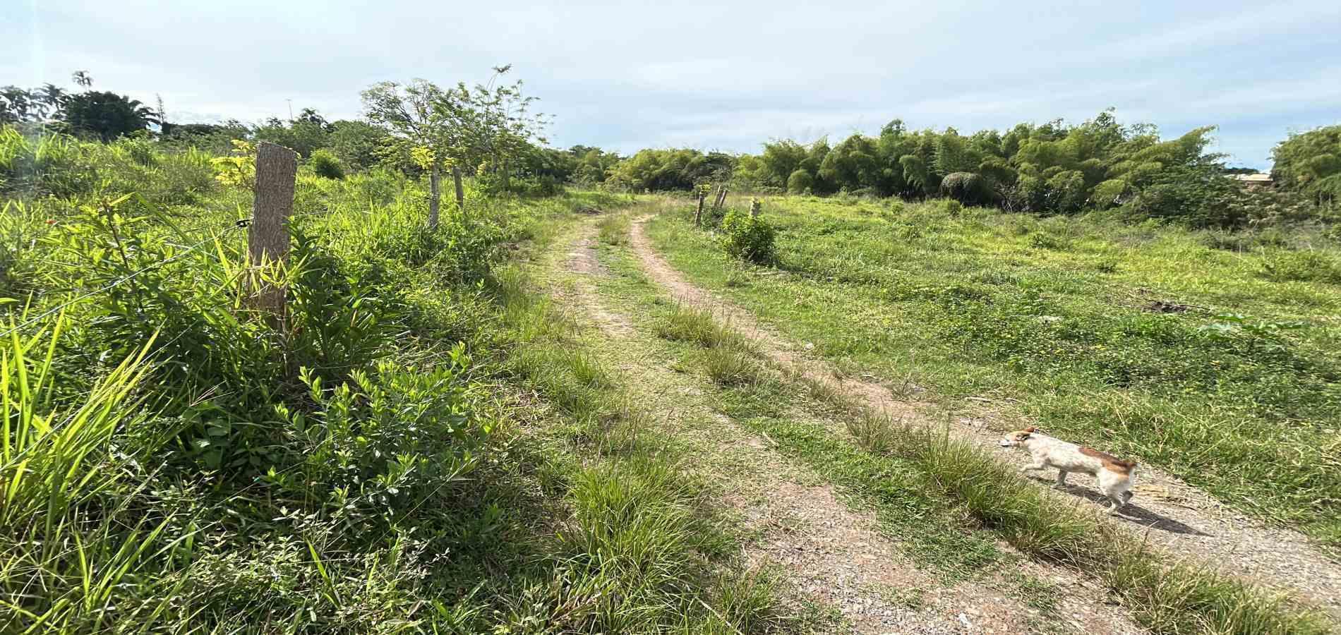 Foto de Lote / terreno en Venta en Cerritos, Pereira - 11 - 279068090