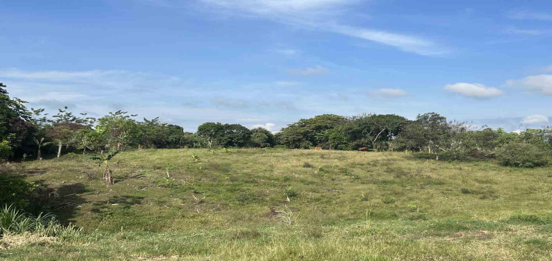 Foto de Lote / terreno en Venta en Cerritos / sector el tigre, Pereira - 2 - 279066751