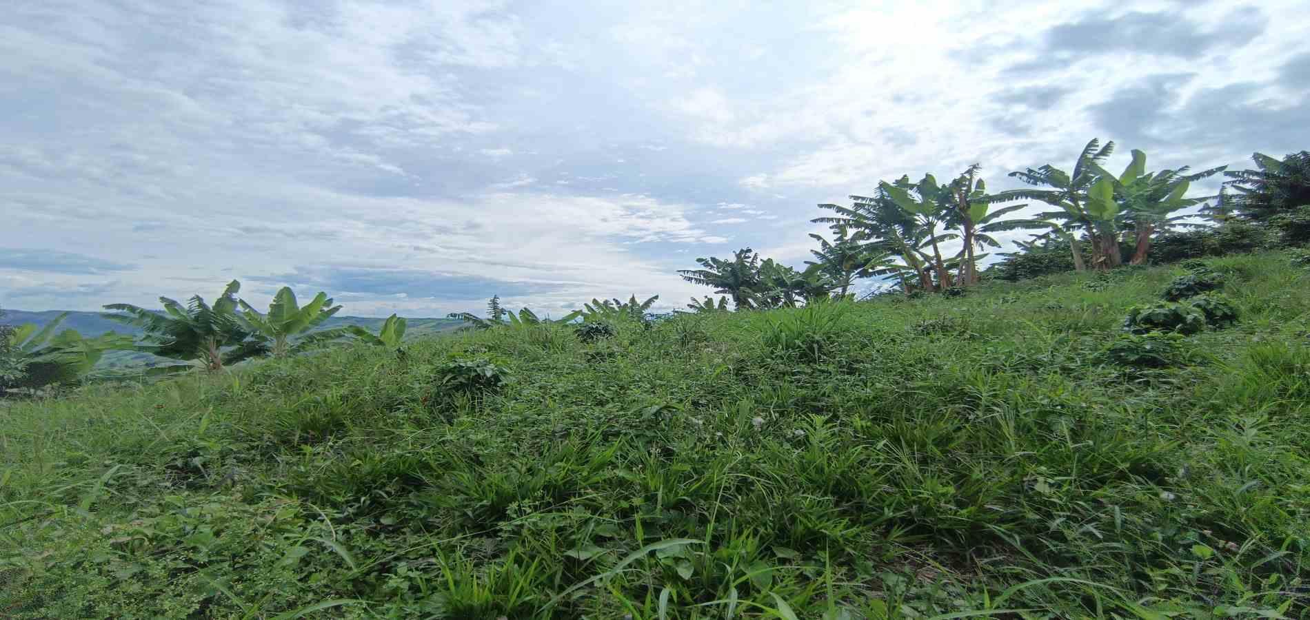 Foto de Lote / terreno en Venta en San peregrino, Manizales - 23 - 279068552