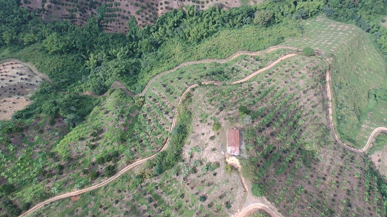 Foto de Finca en Venta en Vereda tambores - balboa, Pereira - 3 - 279070307