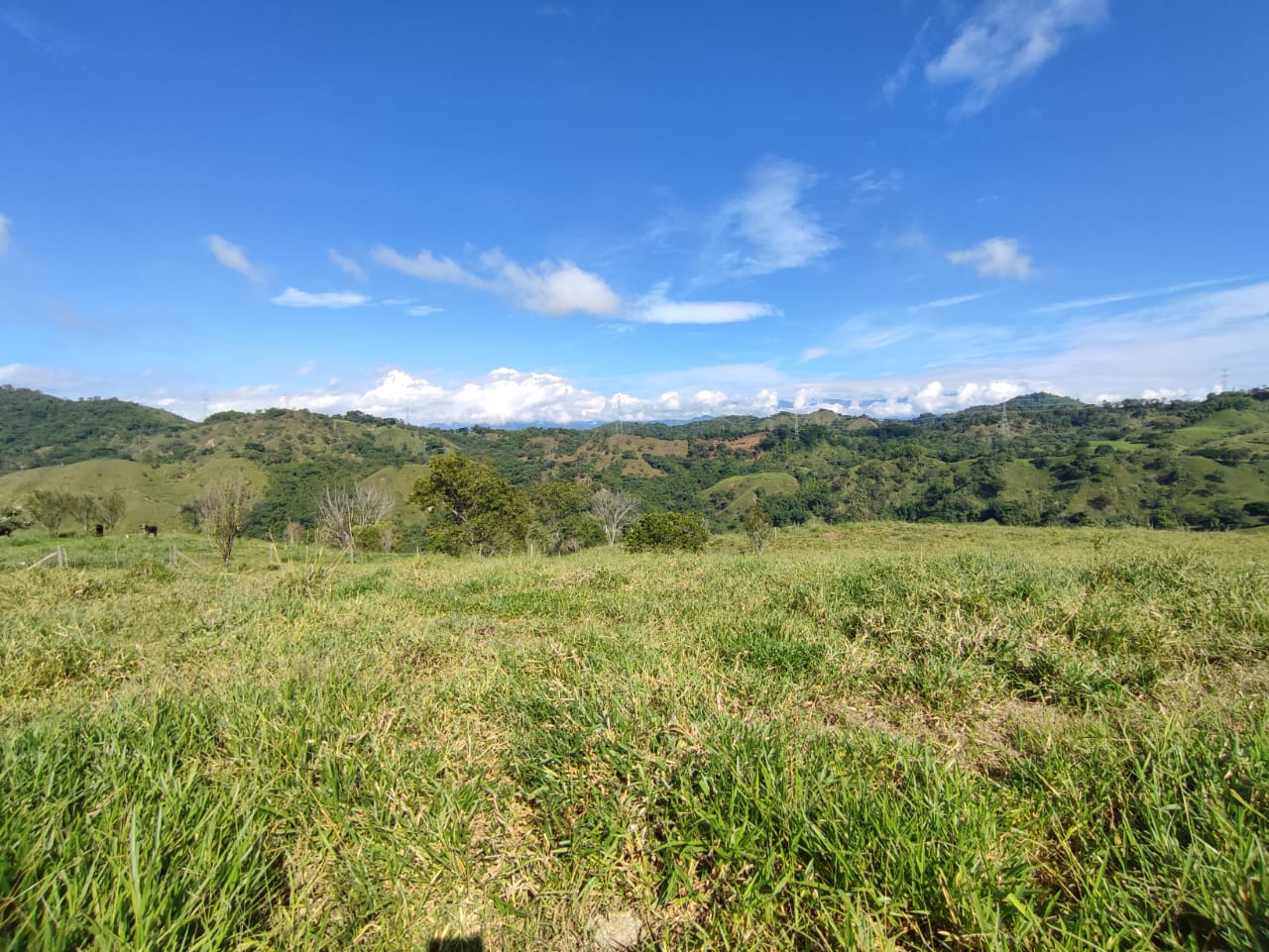 Foto de Lote / terreno en Venta en Cerritos, Pereira - 22 - 279064552