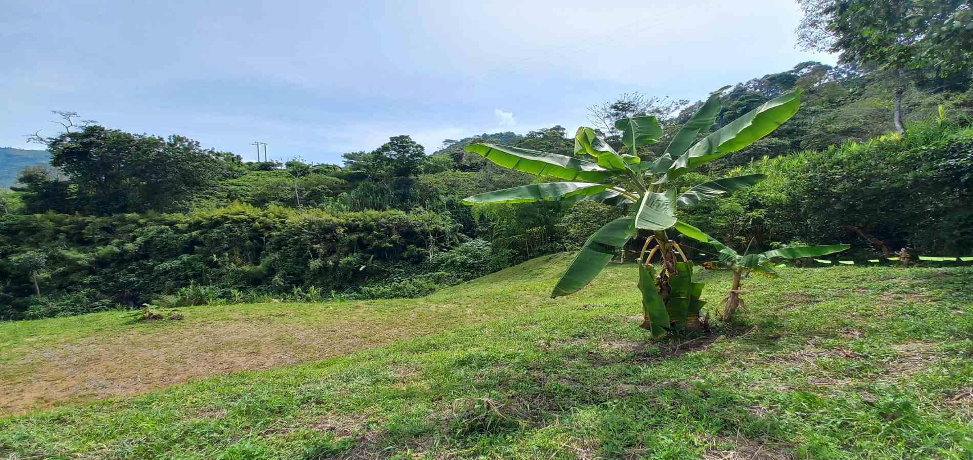 Foto de Lote / terreno en Venta en Combia, Pereira - 4 - 279069588