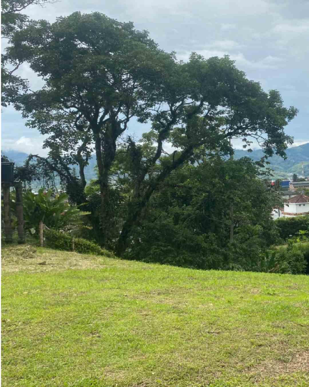 Foto de Lote / terreno en Venta en Canceles, Pereira - 5 - 279054300