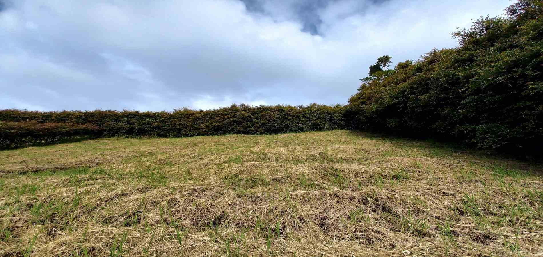 Foto de Lote / terreno en Venta en Vereda el lembo, Santa rosa de cabal - 9 - 279067015