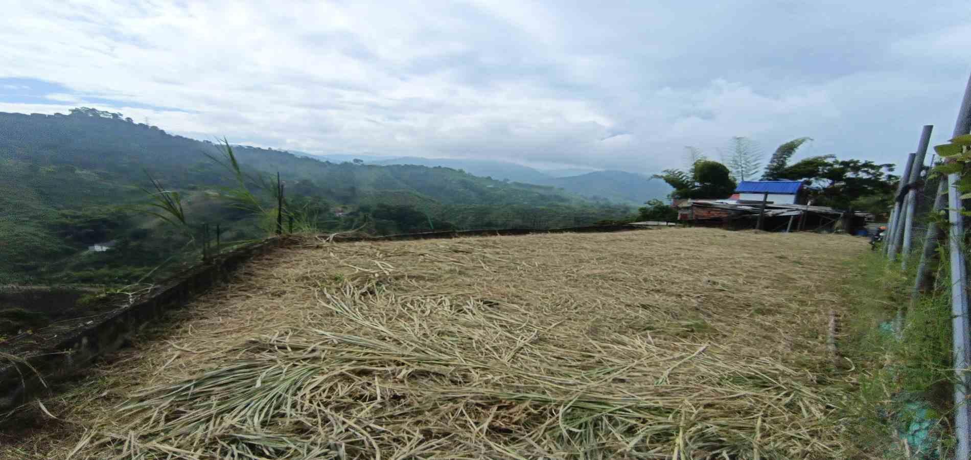 Foto de Lote / terreno en Venta en Vereda la trinidad, Manizales - 19 - 279066610
