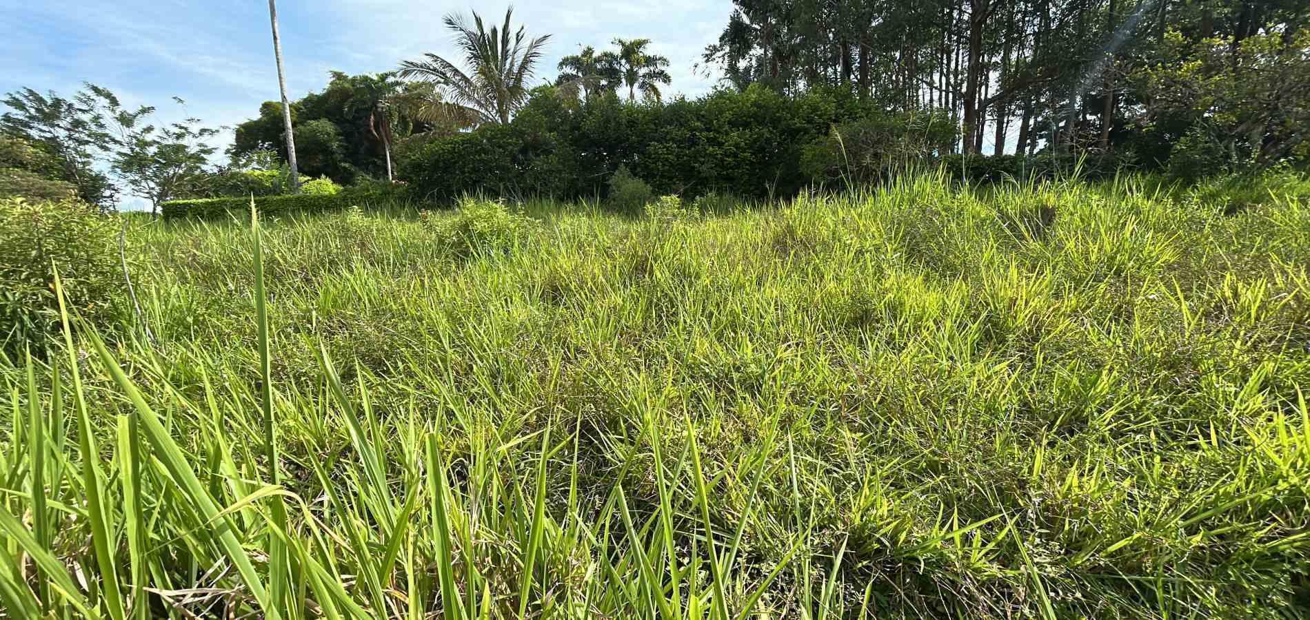 Foto de Lote / terreno en Venta en Cerritos, Pereira - 9 - 279068090
