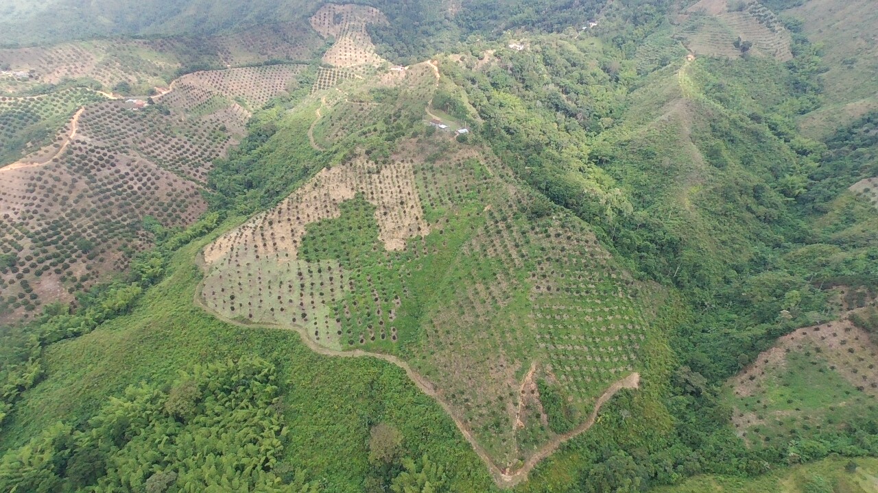 Foto de Finca en Venta en Vereda tambores - balboa, Pereira - 9 - 279070307