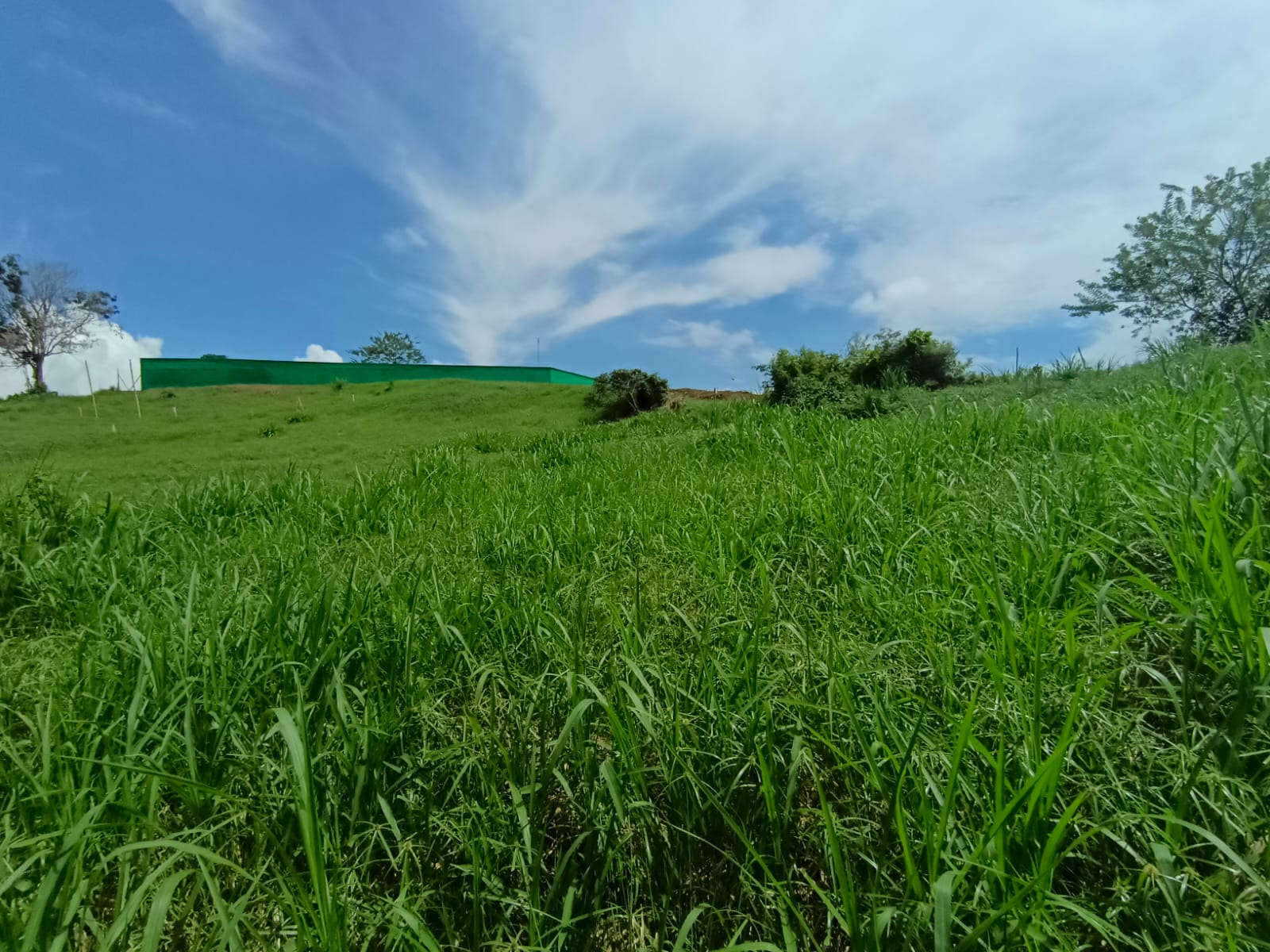 Foto de Lote / terreno en Venta en Vereda santagueda, Palestina - 2 - 279064499