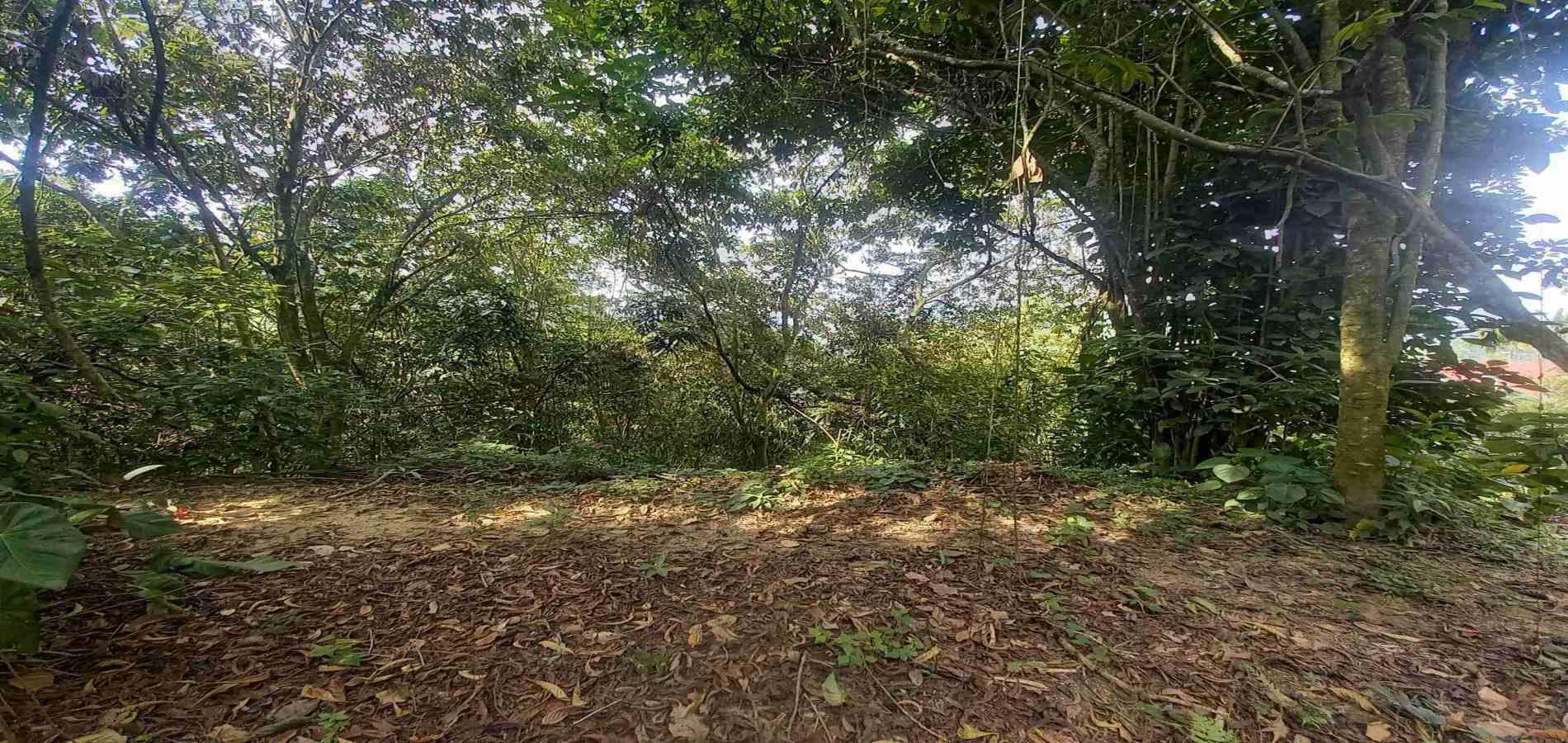 Foto de Lote / terreno en Venta en San peregrino, Manizales - 12 - 279056638