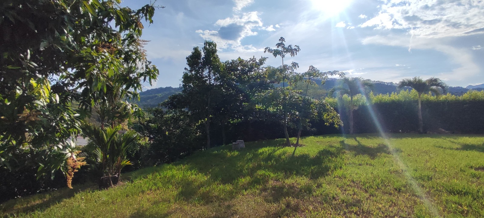 Foto de Casa campestre en Venta en Palermo, Neira - 12 - 279063969