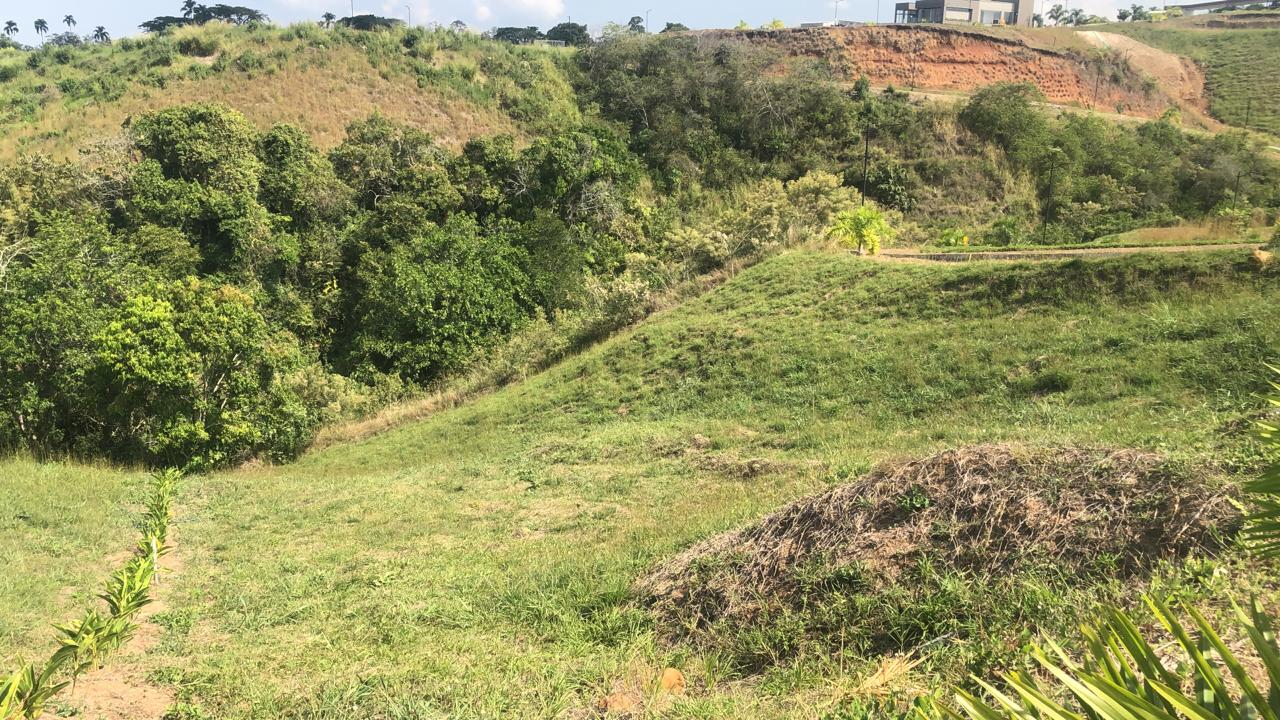 Foto de Lote / terreno en Venta en Cerritos, Pereira - 12 - 279055628