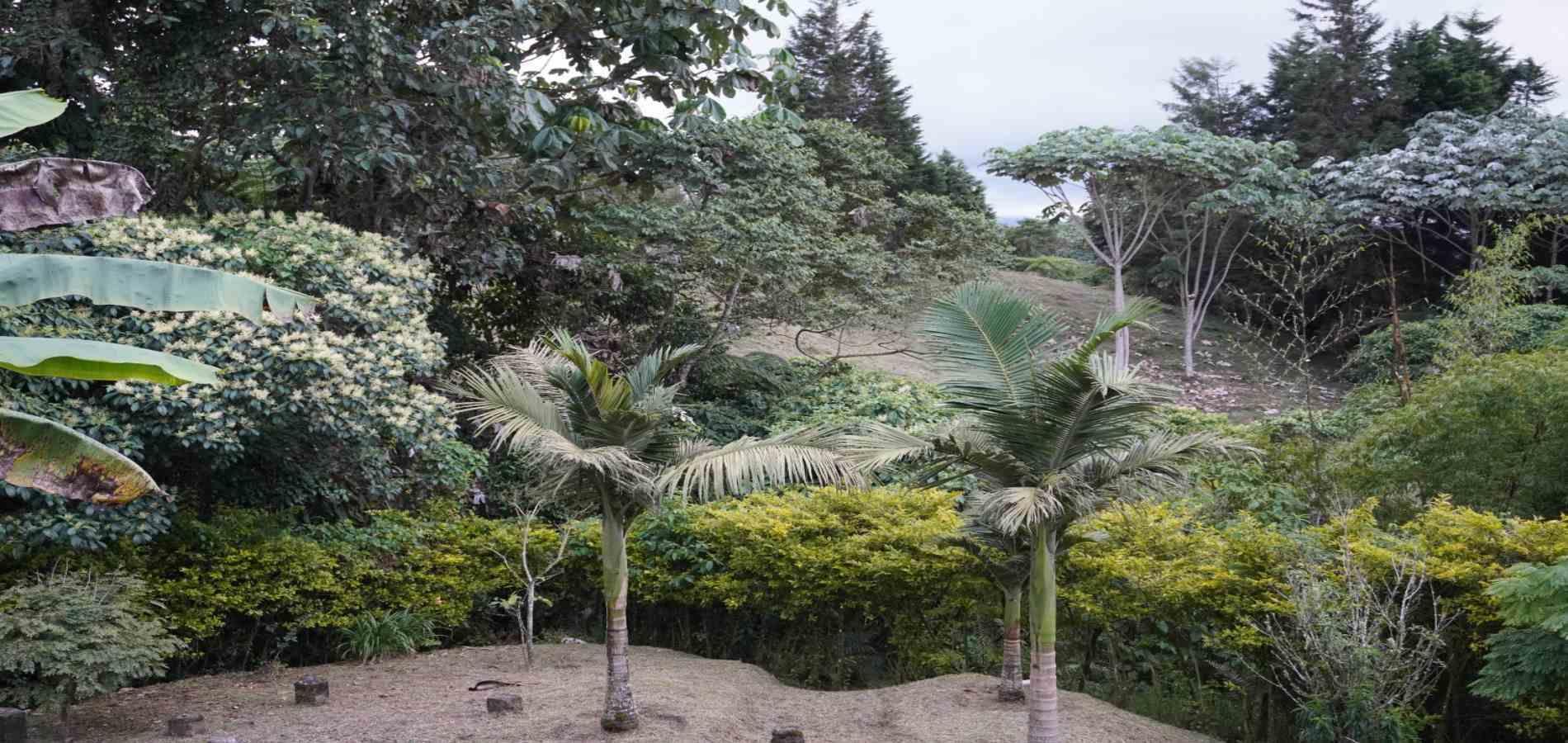 Foto de Finca en Venta en Centro, Filandia - 1 - 279063010