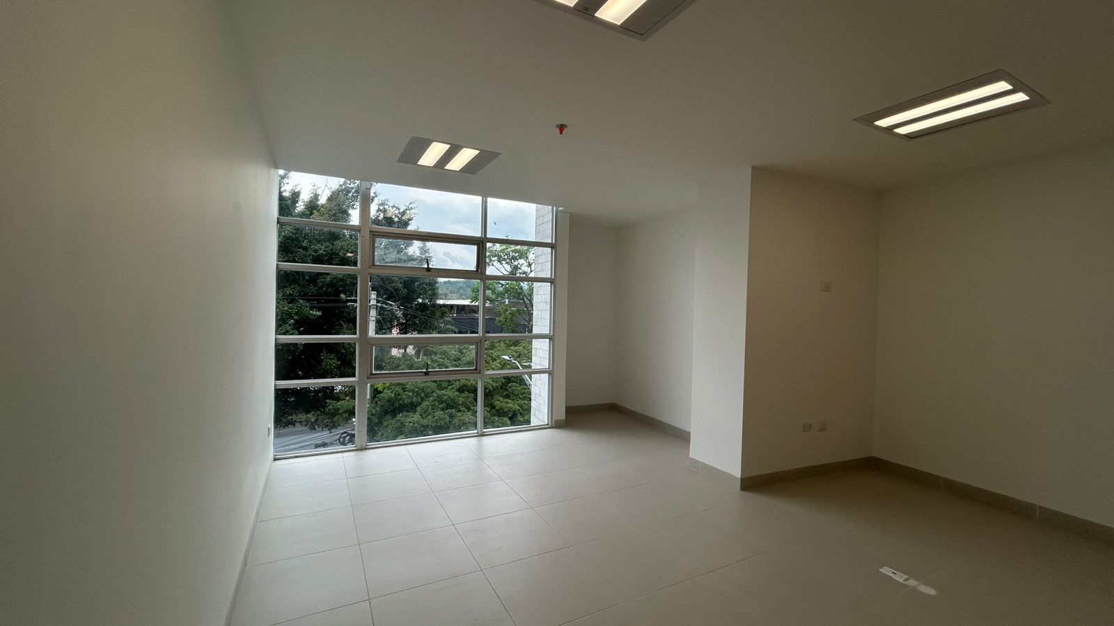 Foto de Consultorio en Arriendo en Avenida 30 de agosto, Pereira - 8 - 279065899