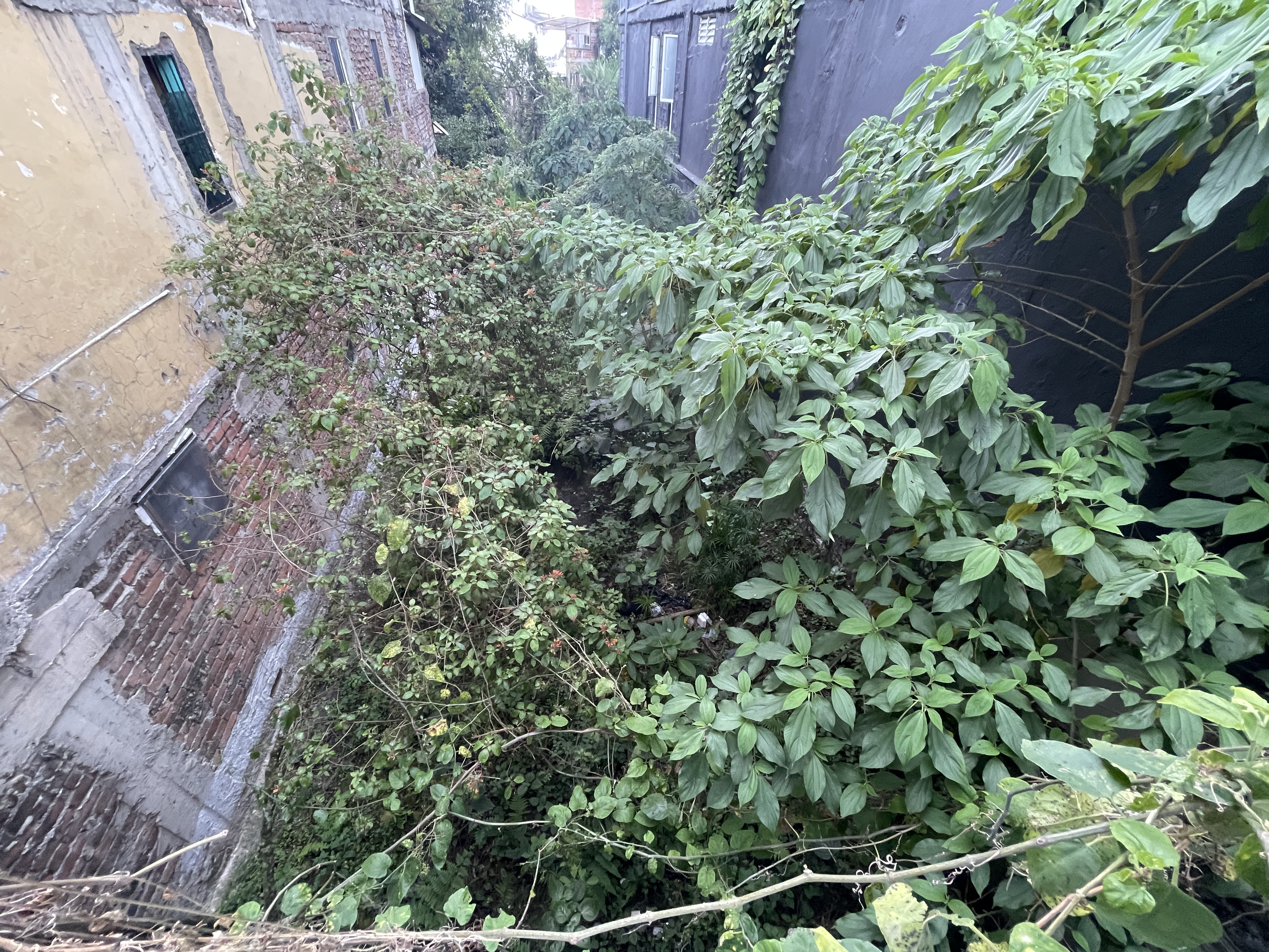 Foto de Lote / terreno en Venta en Galan, Armenia  - 11 - 279065396