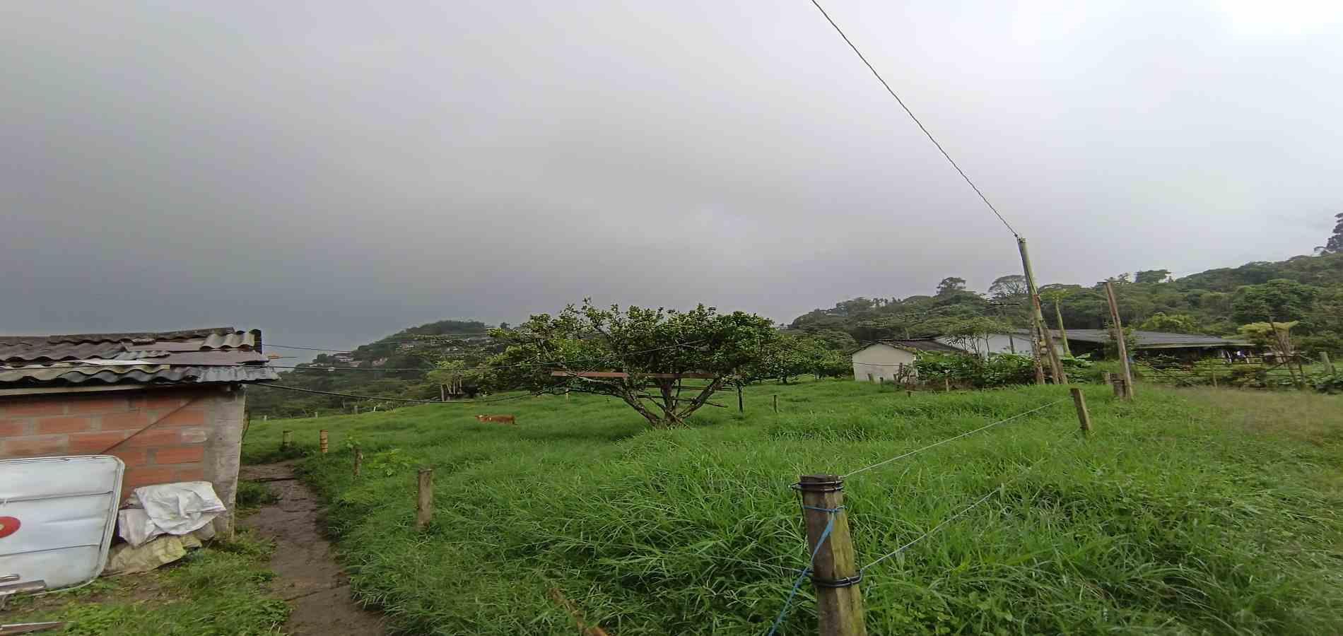 Foto de Finca en Venta en La francia, Manizales - 18 - 279066742