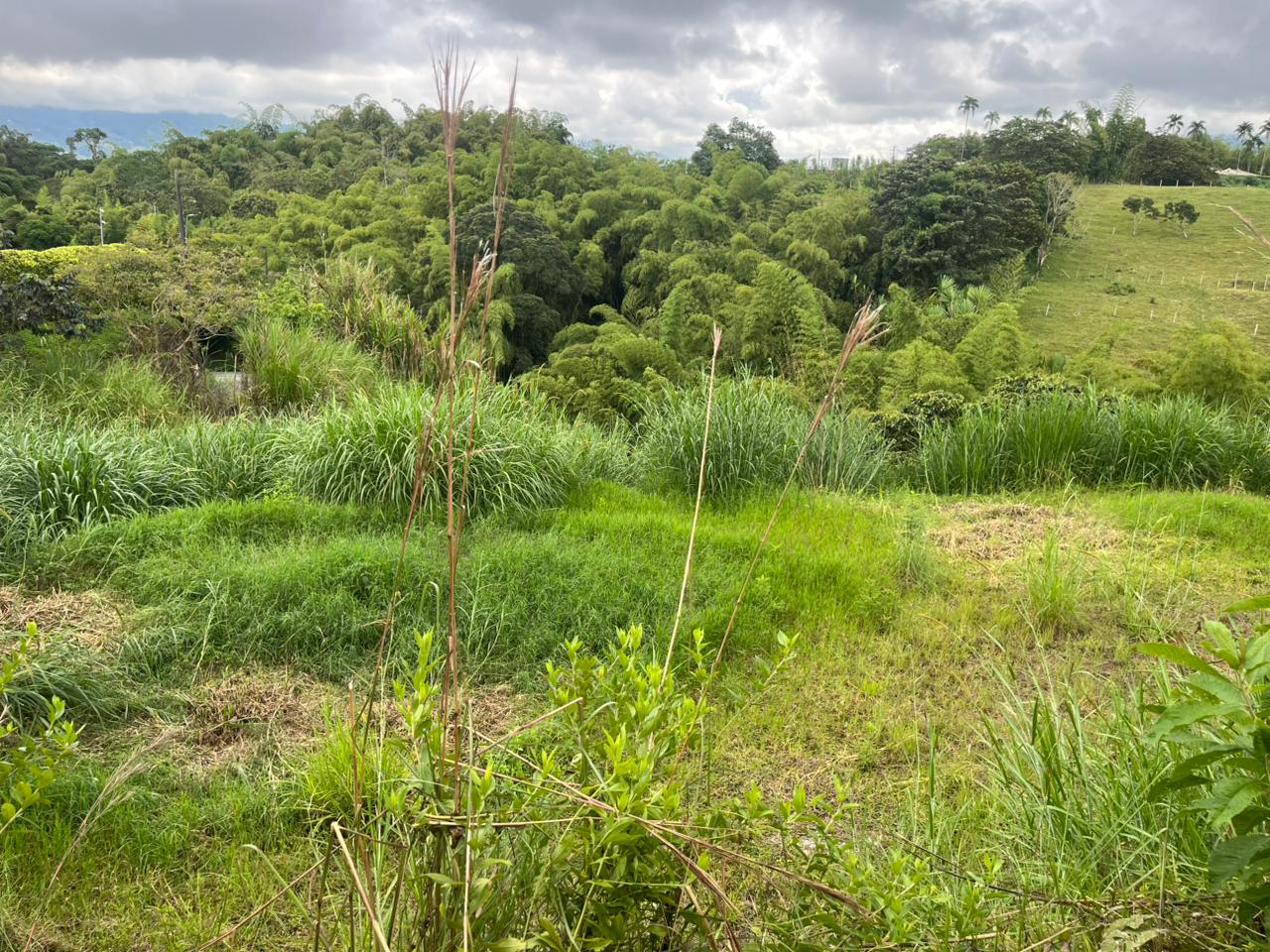 Foto de Lote / terreno en Venta en Via armenia, Pereira - 2 - 279063098