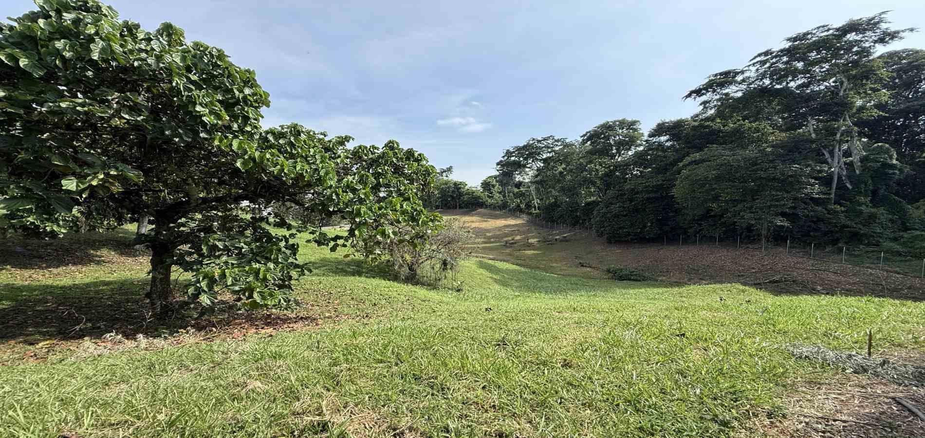 Foto de Lote / terreno en Venta en Cerritos, Pereira - 6 - 279062245