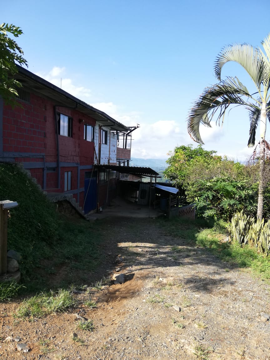 Foto de Finca en Venta en Vereda lisboa, Manizales - 4 - 279056143