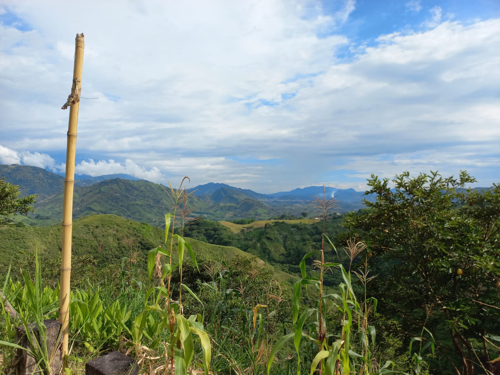 Foto de Lote / terreno en Venta en Vereda la trinidad, Manizales - 8 - 279053327
