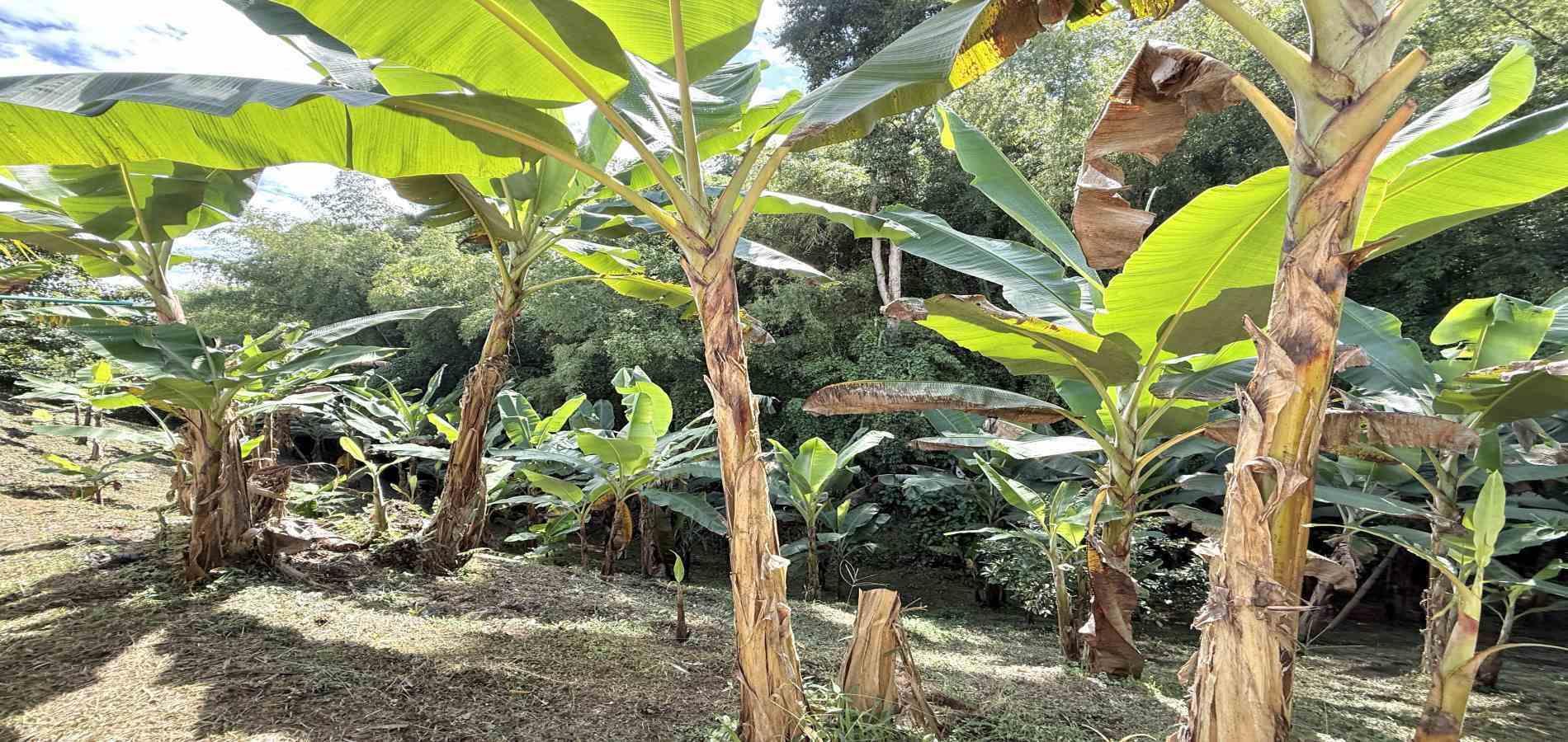 Foto de Casa campestre en Venta en Combia, Pereira - 12 - 279062640