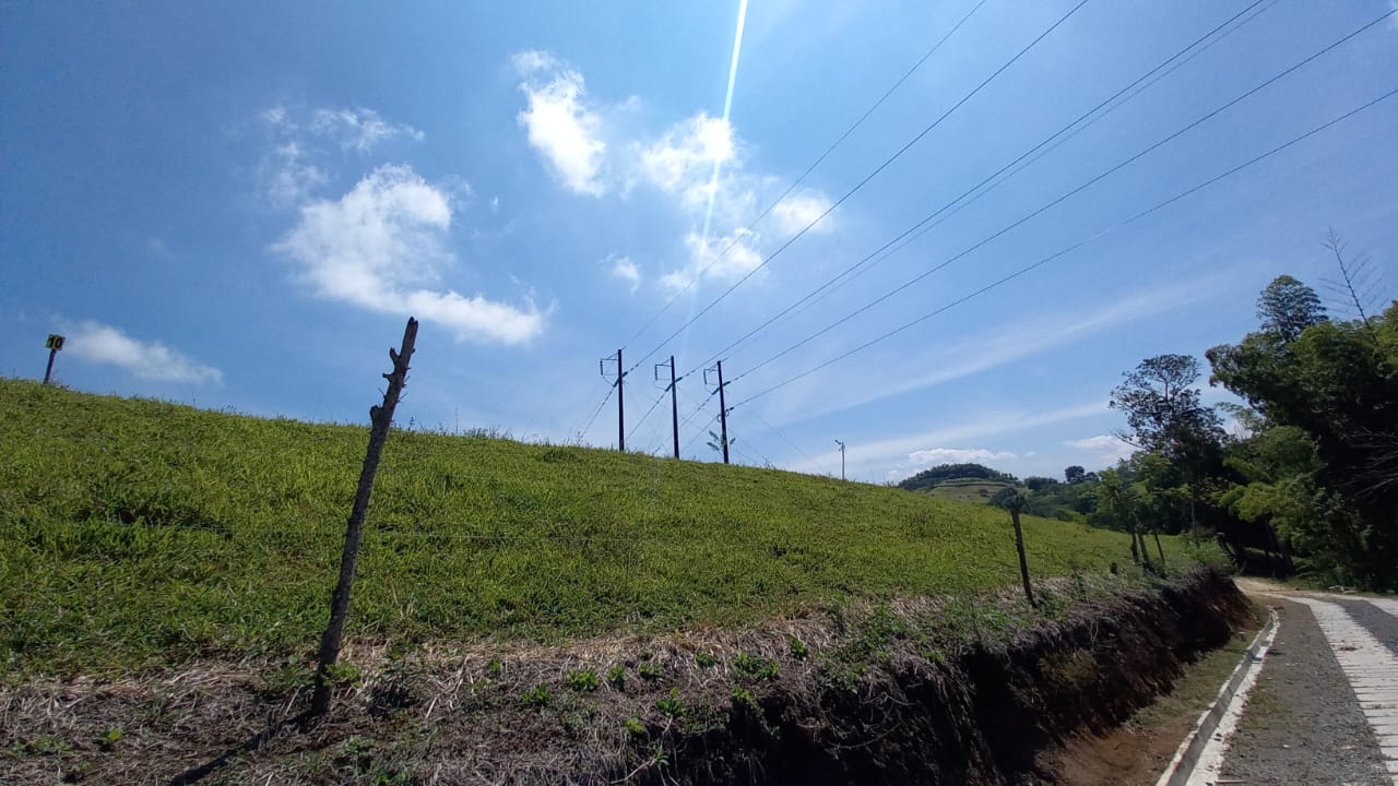 Foto de Lote / terreno en Venta en Vereda santagueda, Palestina - 18 - 279058796