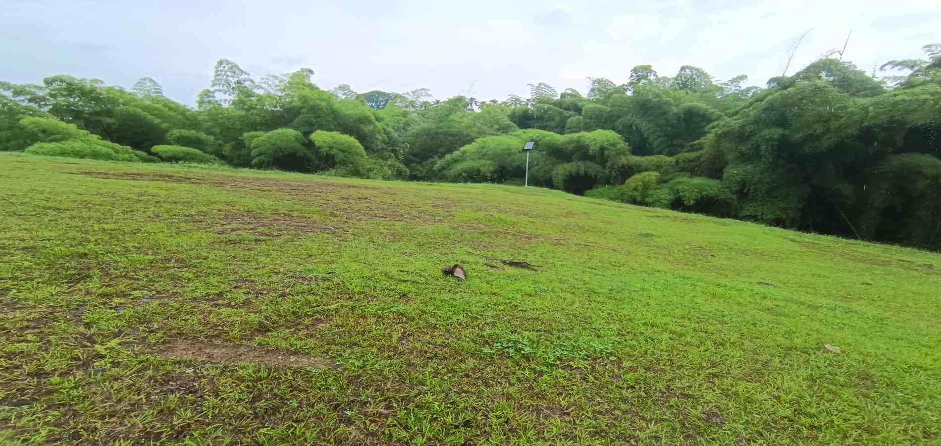 Foto de Lote / terreno en Venta en Vereda la trinidad, Manizales - 23 - 279069692