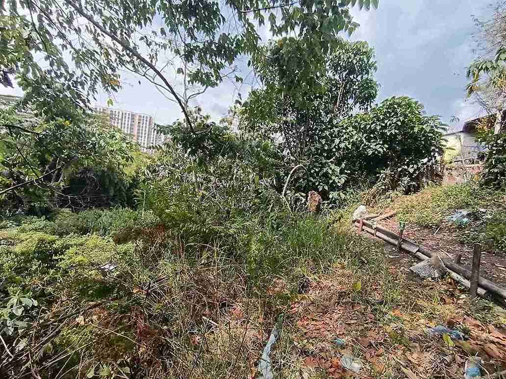 Foto de Lote / terreno en Venta en Avenida 19 norte, Armenia  - 3 - 279058970