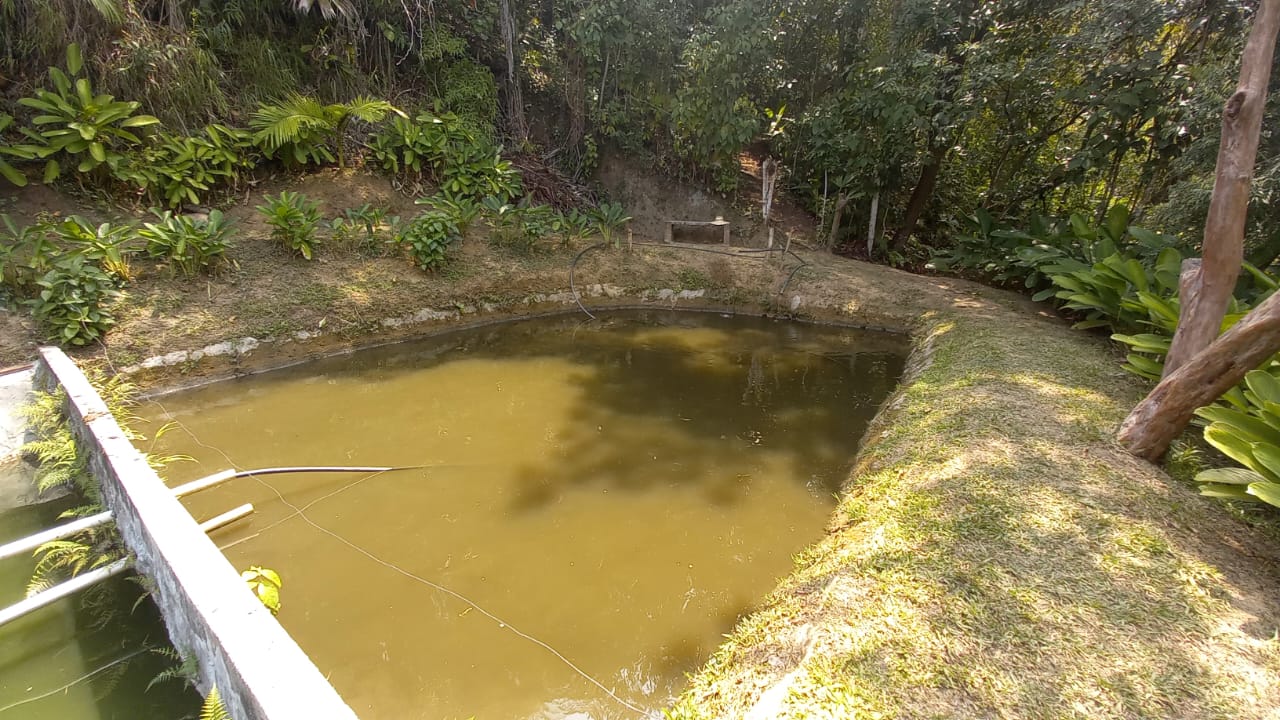 Foto de Lote / terreno en Venta en San peregrino, Manizales - 7 - 279056653
